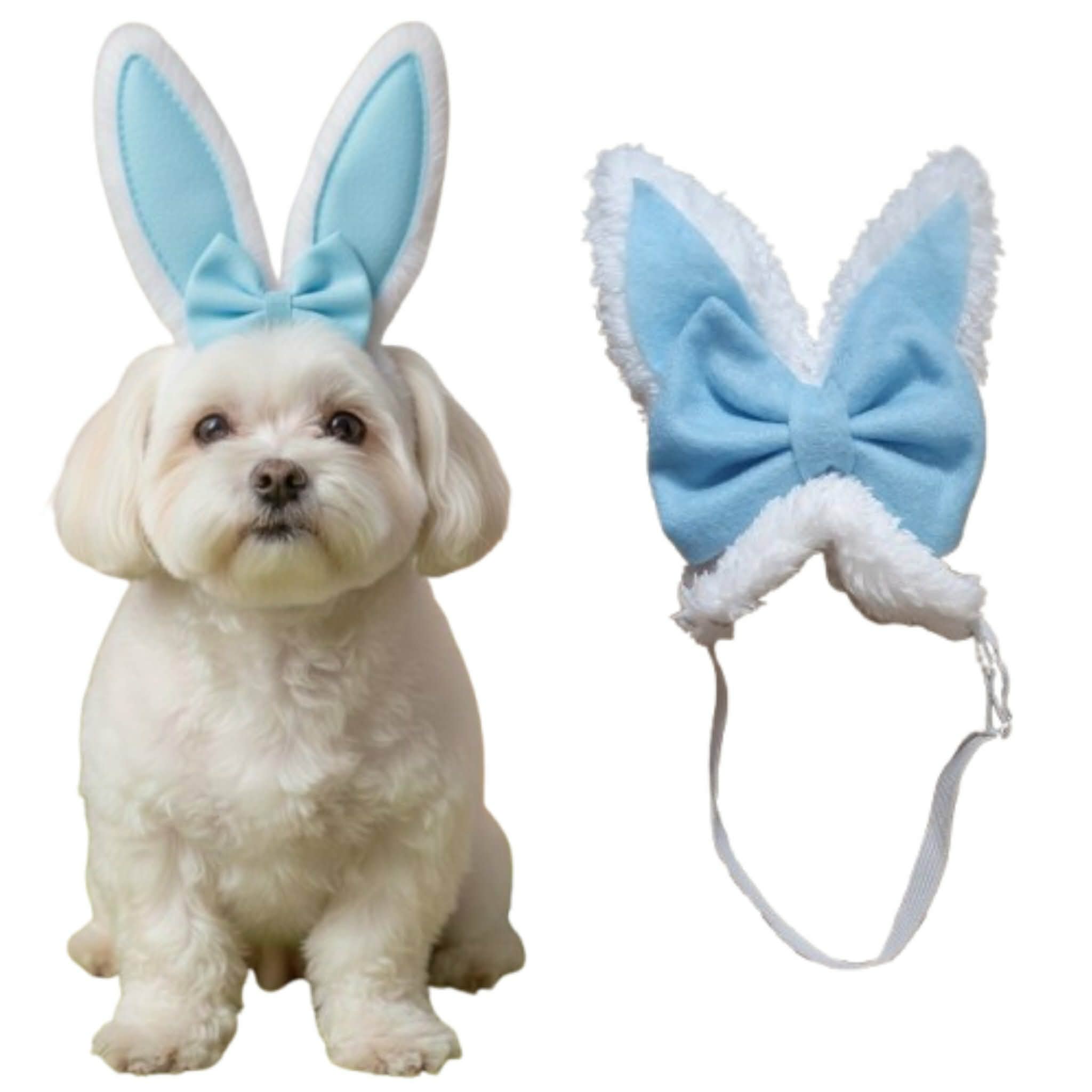 618723853_1666659068048144_479275912178303572_n