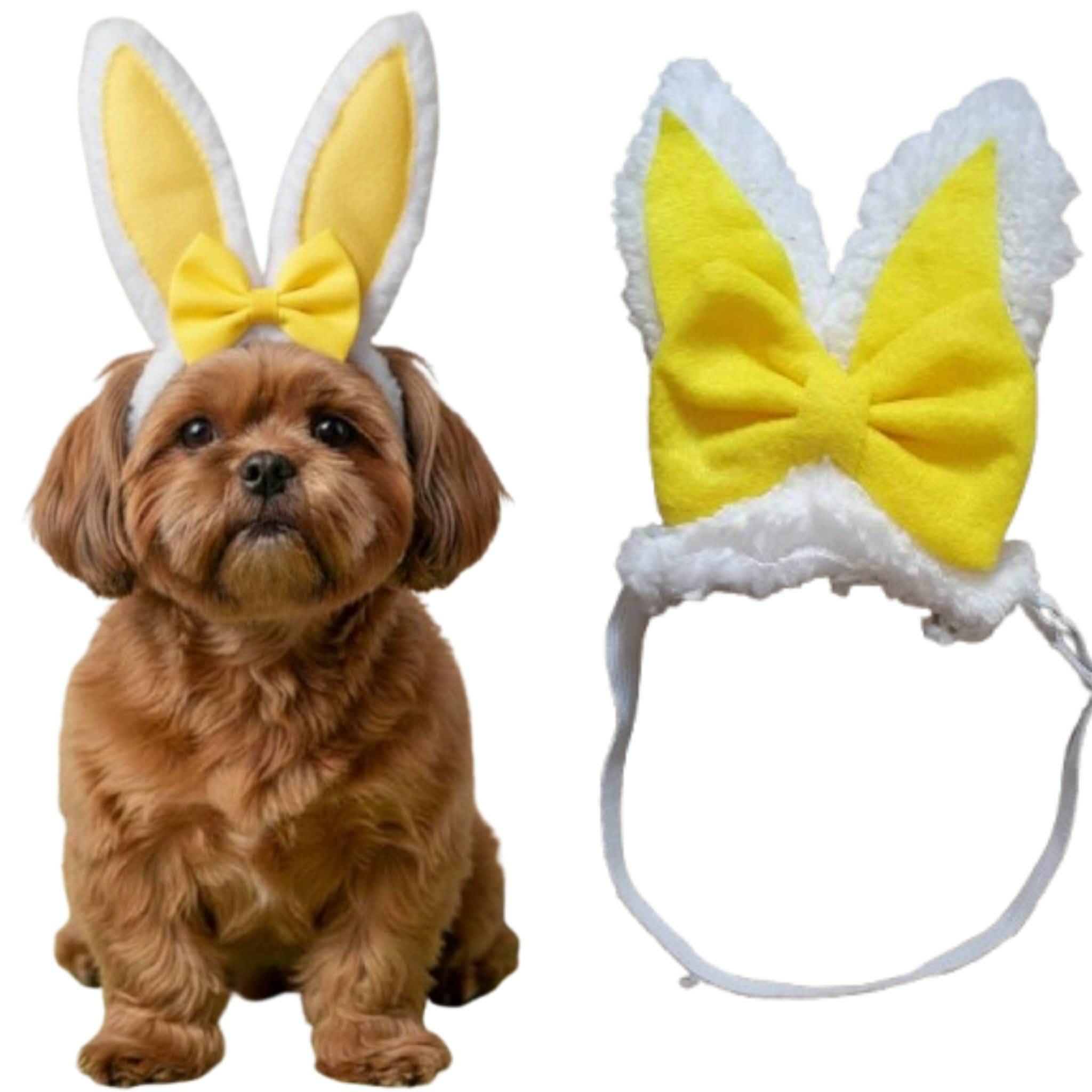 618855254_825947033795659_3464942333075693422_n