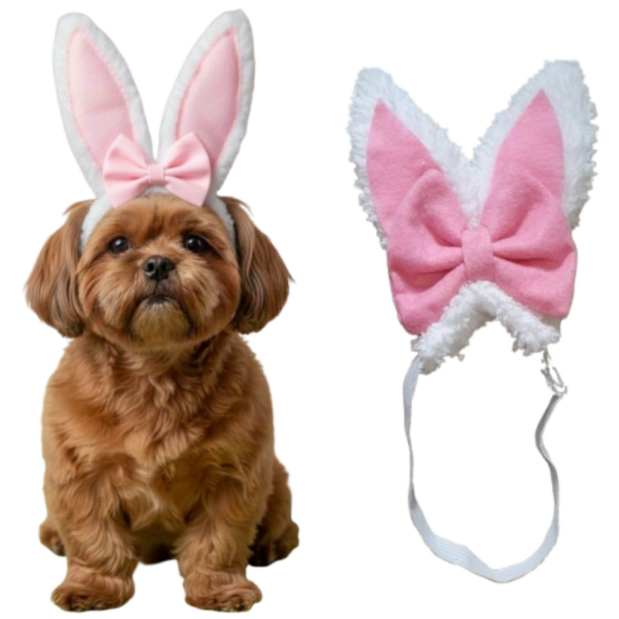 619813835_2783182315406945_4744455664848606672_n