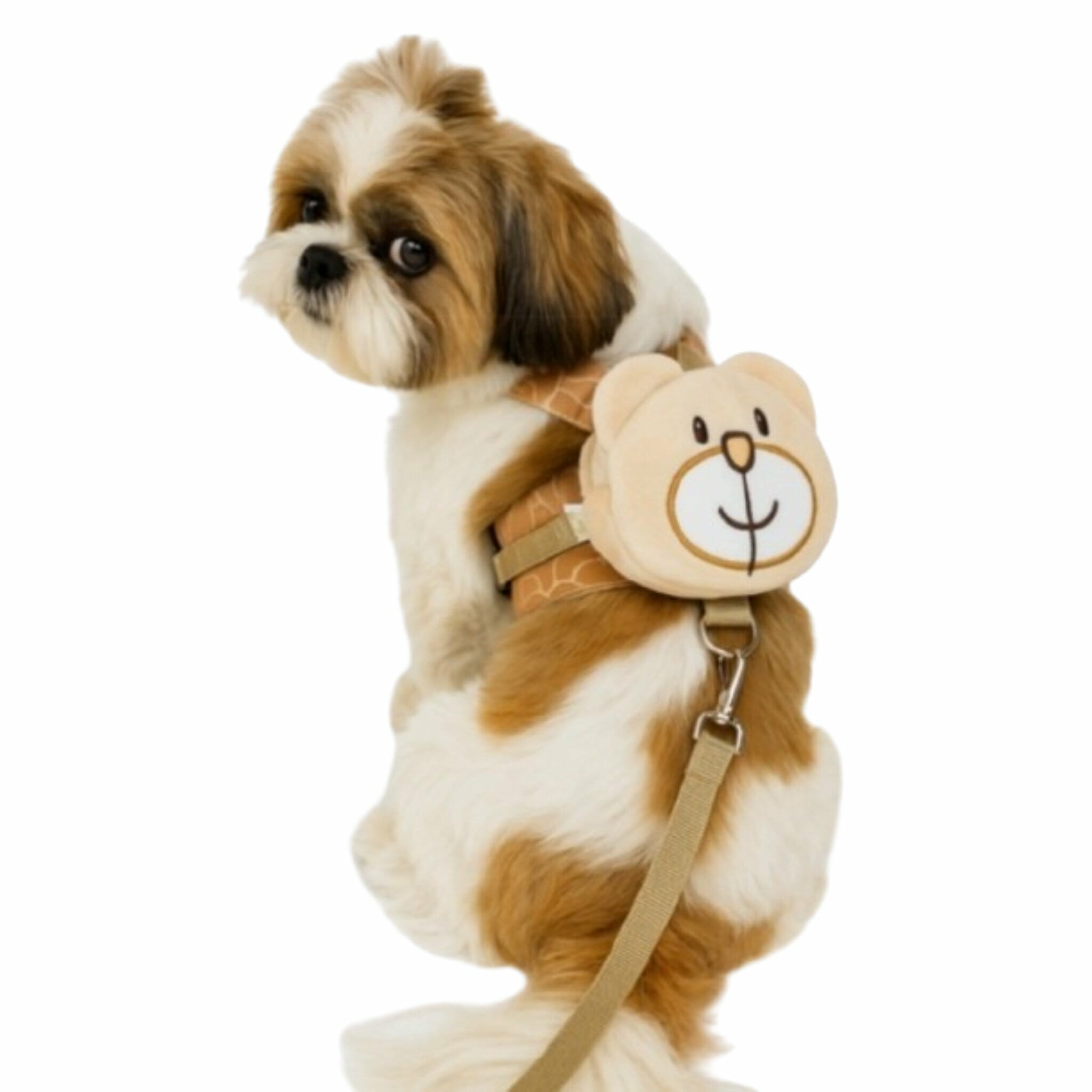 589304888_805283972524499_1019931127743742718_n