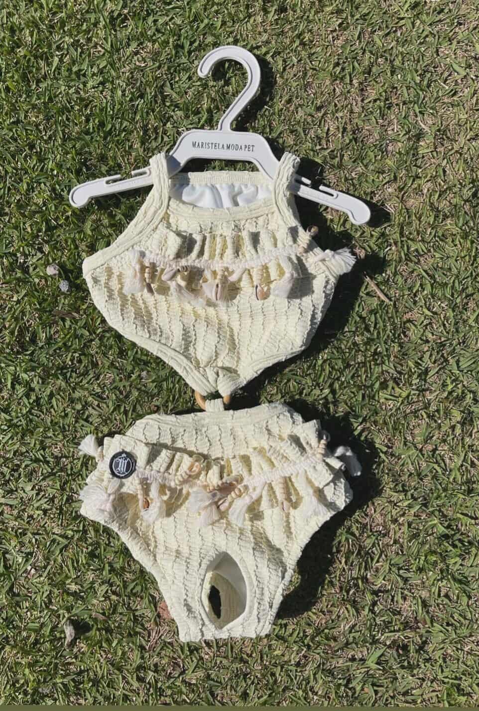 563414045_752724164448219_2504738337117987157_n(1)