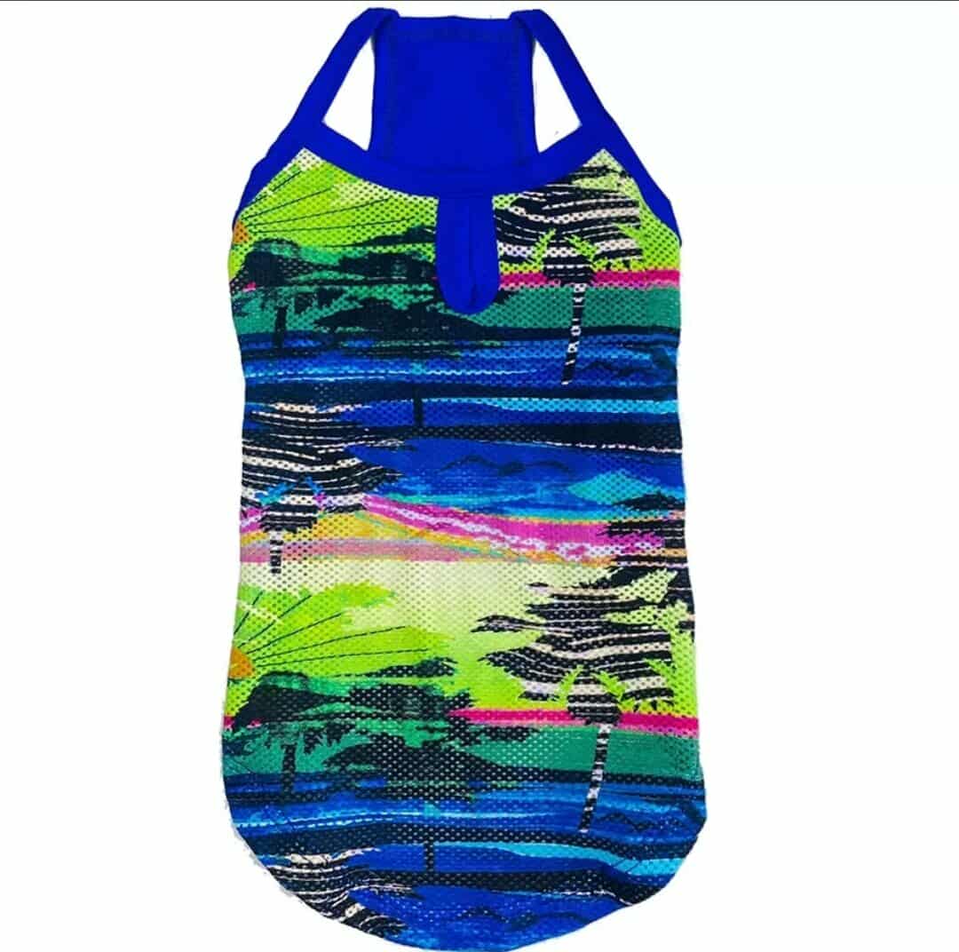 557527438_1539141013751797_4559101821127595704_n