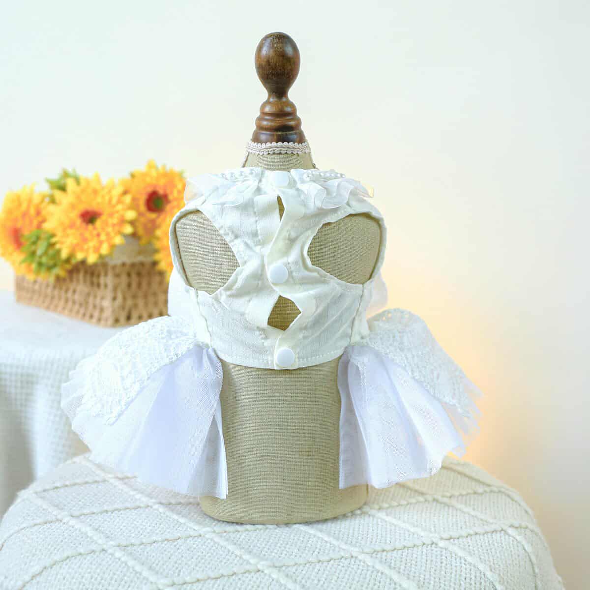 568641533_1356087495872119_6555722235318134493_n