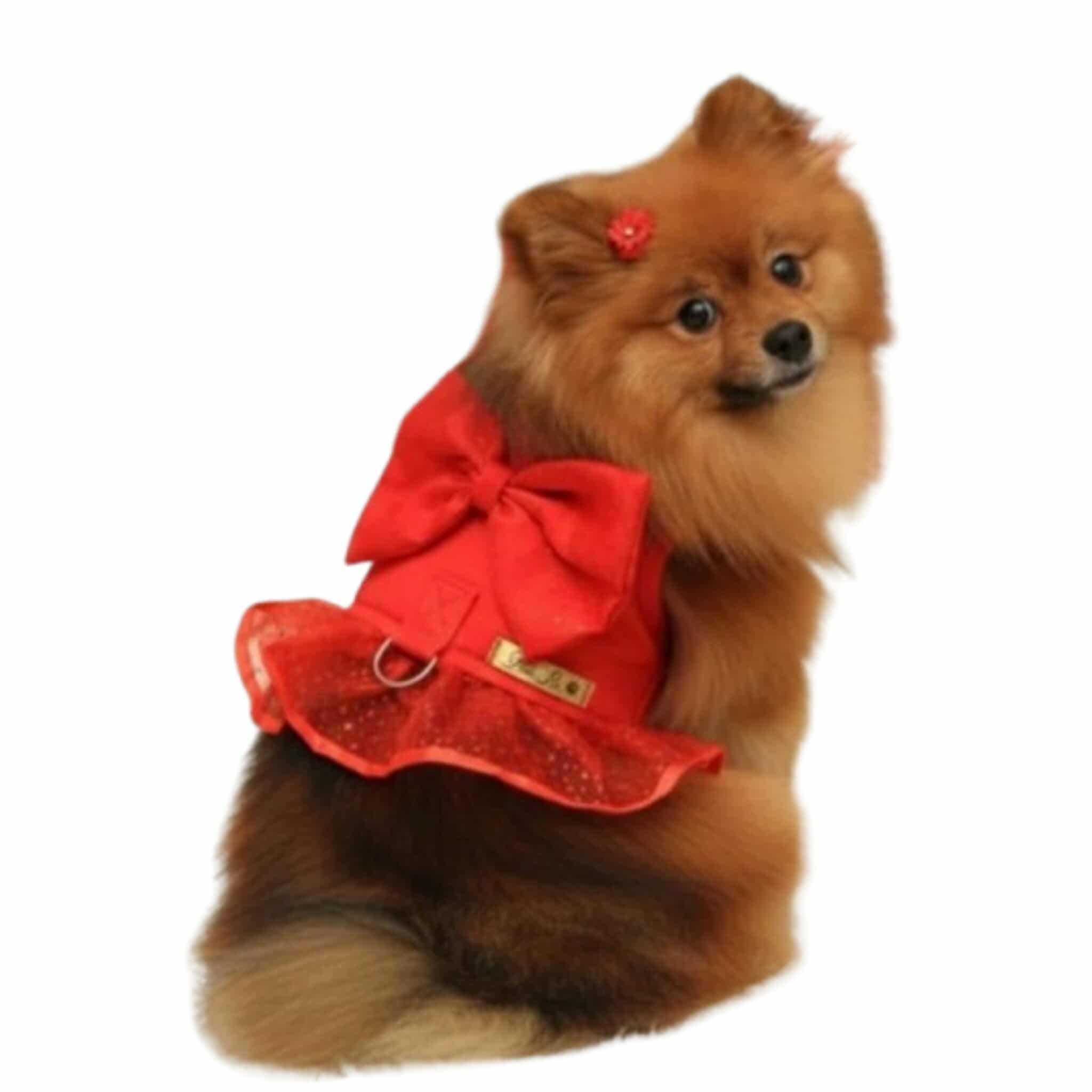 569215415_1137513525159919_875188956477445262_n