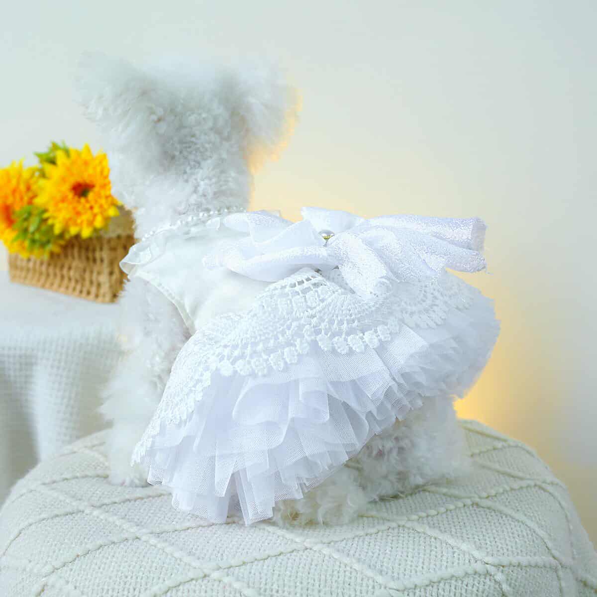 569269636_3691844074278972_334860117862209274_n