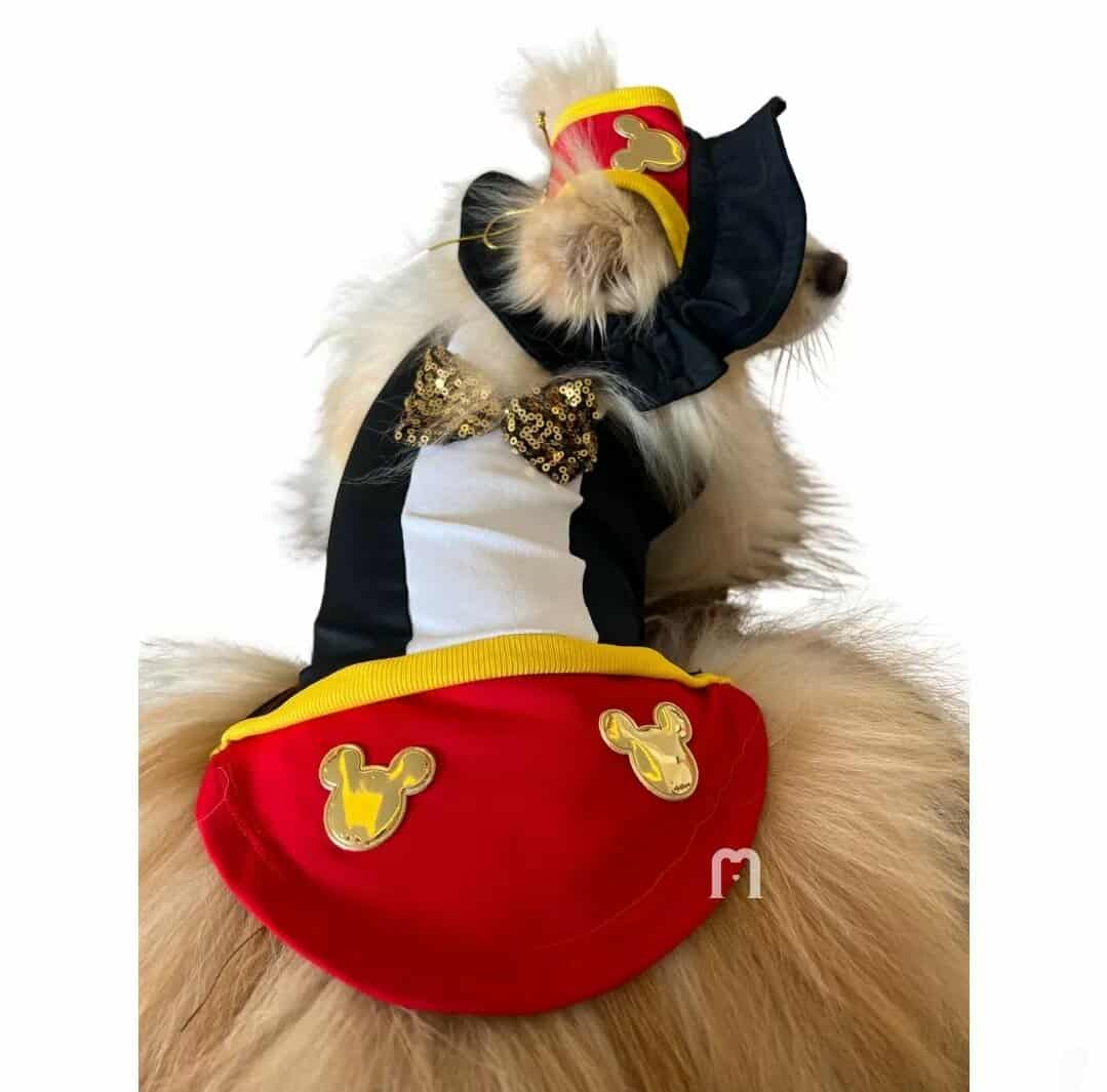 574727004_4289808614676310_7773061484312902659_n