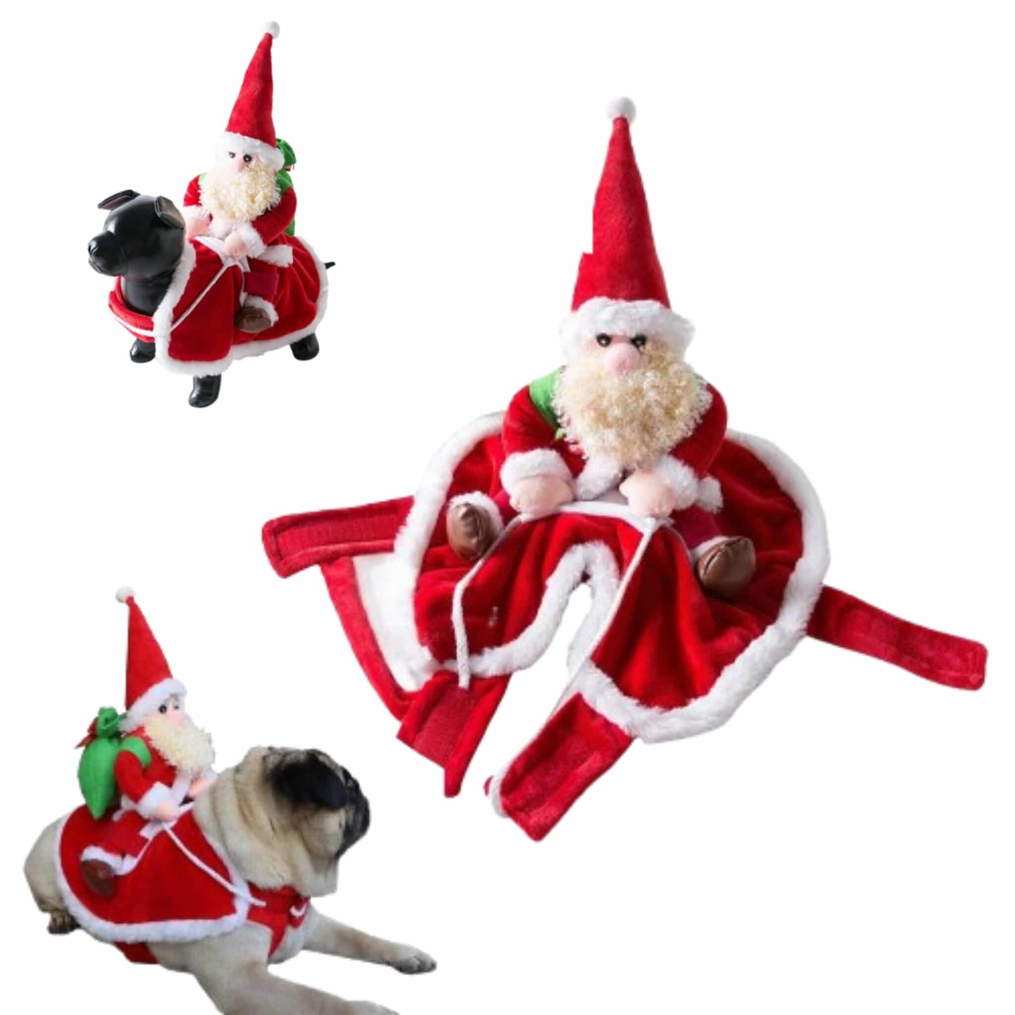 575101782_1821170488604792_5728379971573792437_n