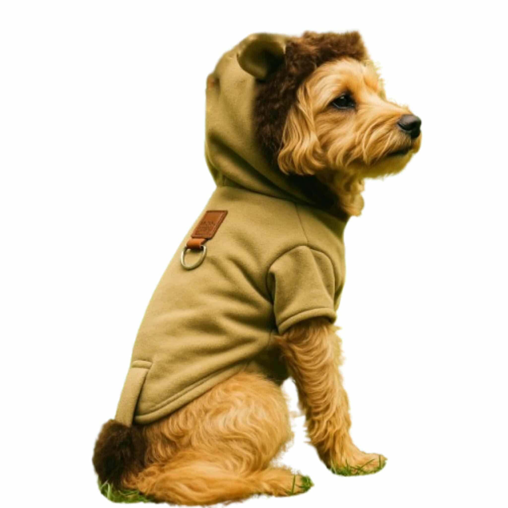 575300851_849639644242506_8706024321636026178_n