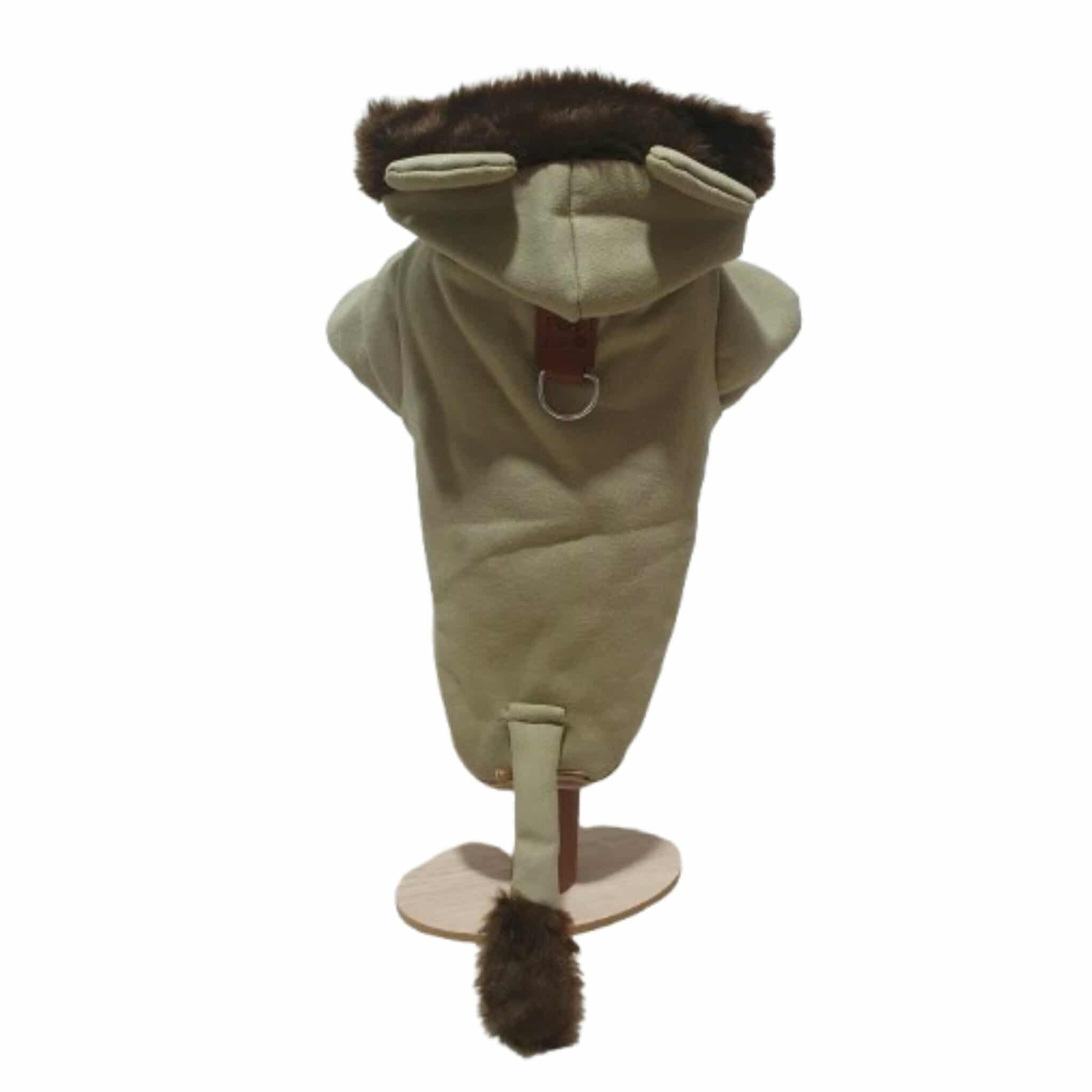 576129024_2857635307769370_8067953287930520002_n