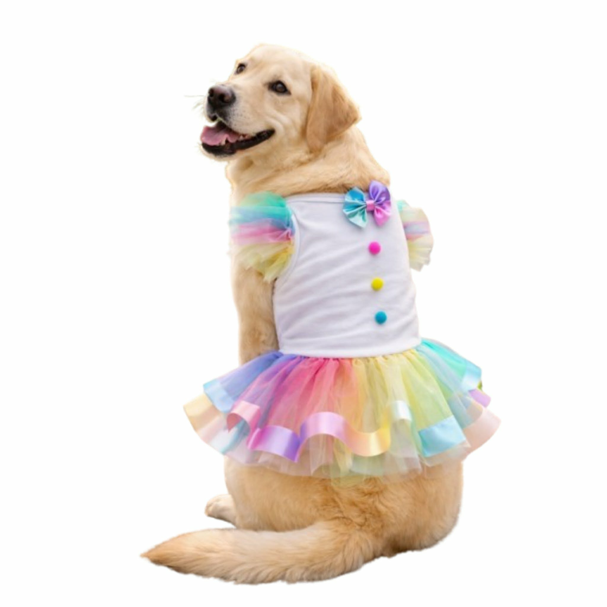 609355508_861576713321480_4252459468878375245_n