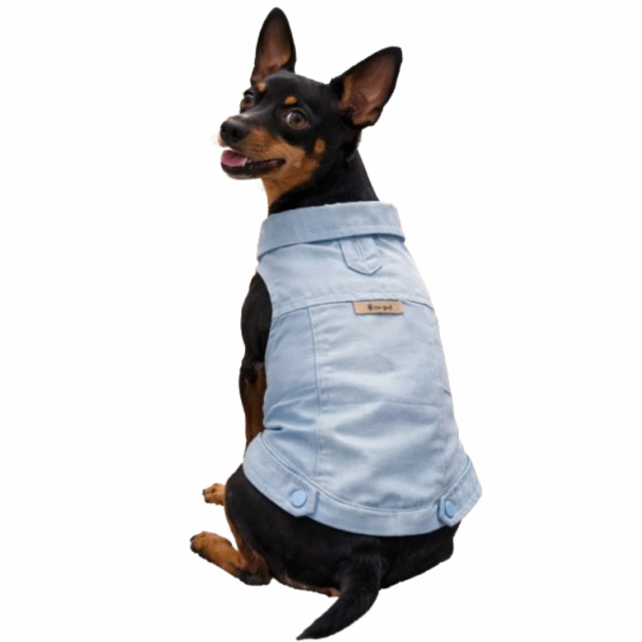 615829011_4158684911085819_287396789334671744_n