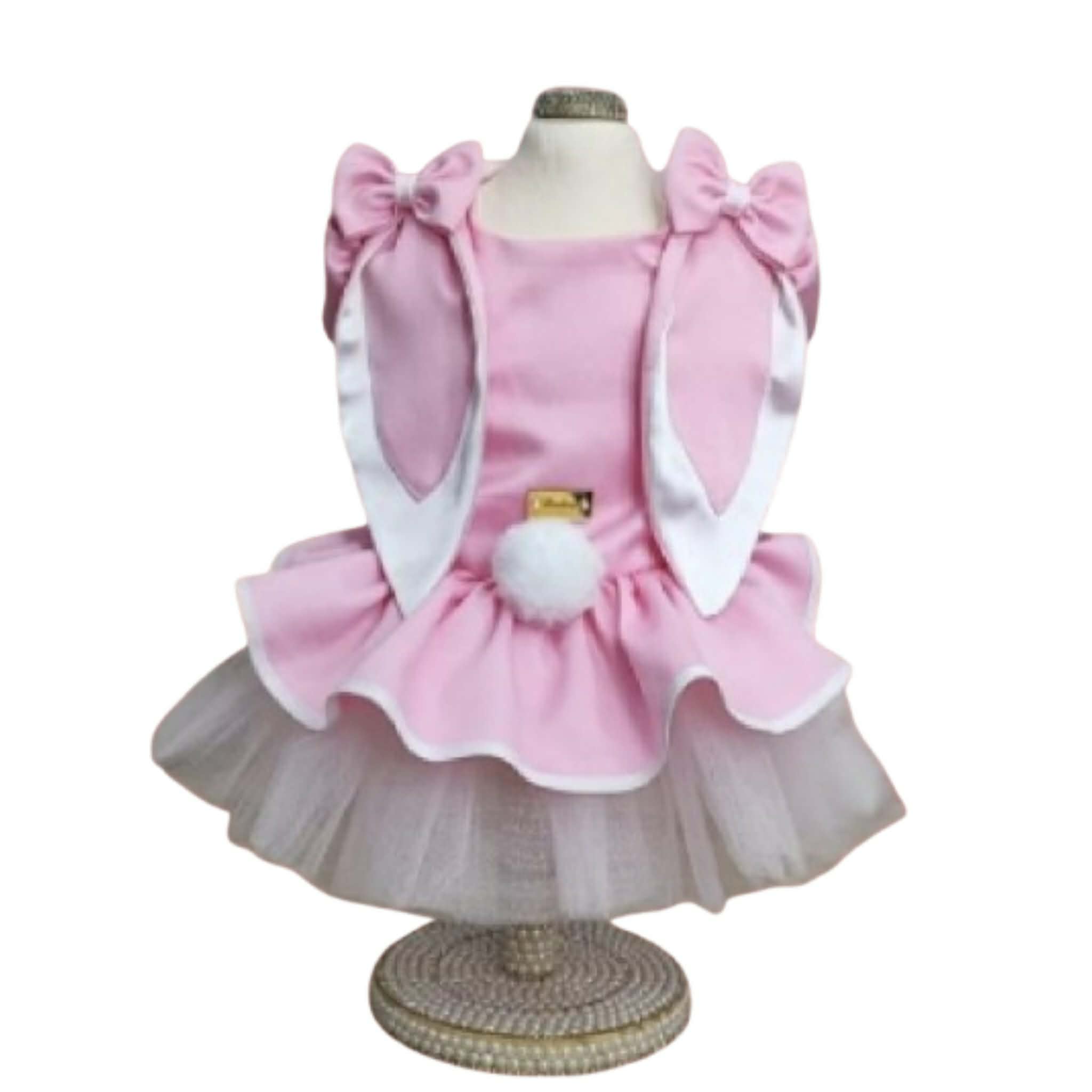 634555843_921576340393261_2310401994932037147_n