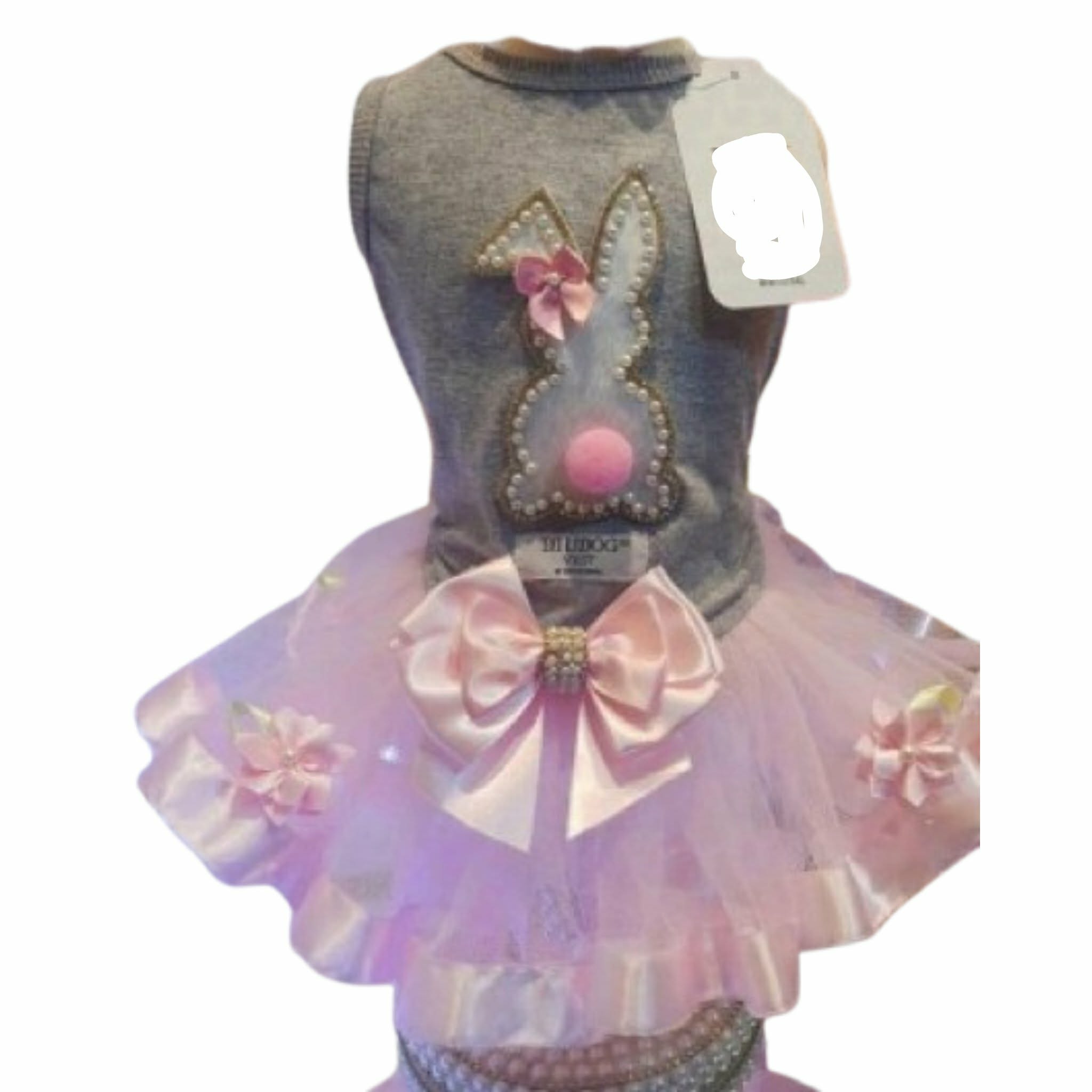 641631693_2298577047215755_1433461037418922642_n