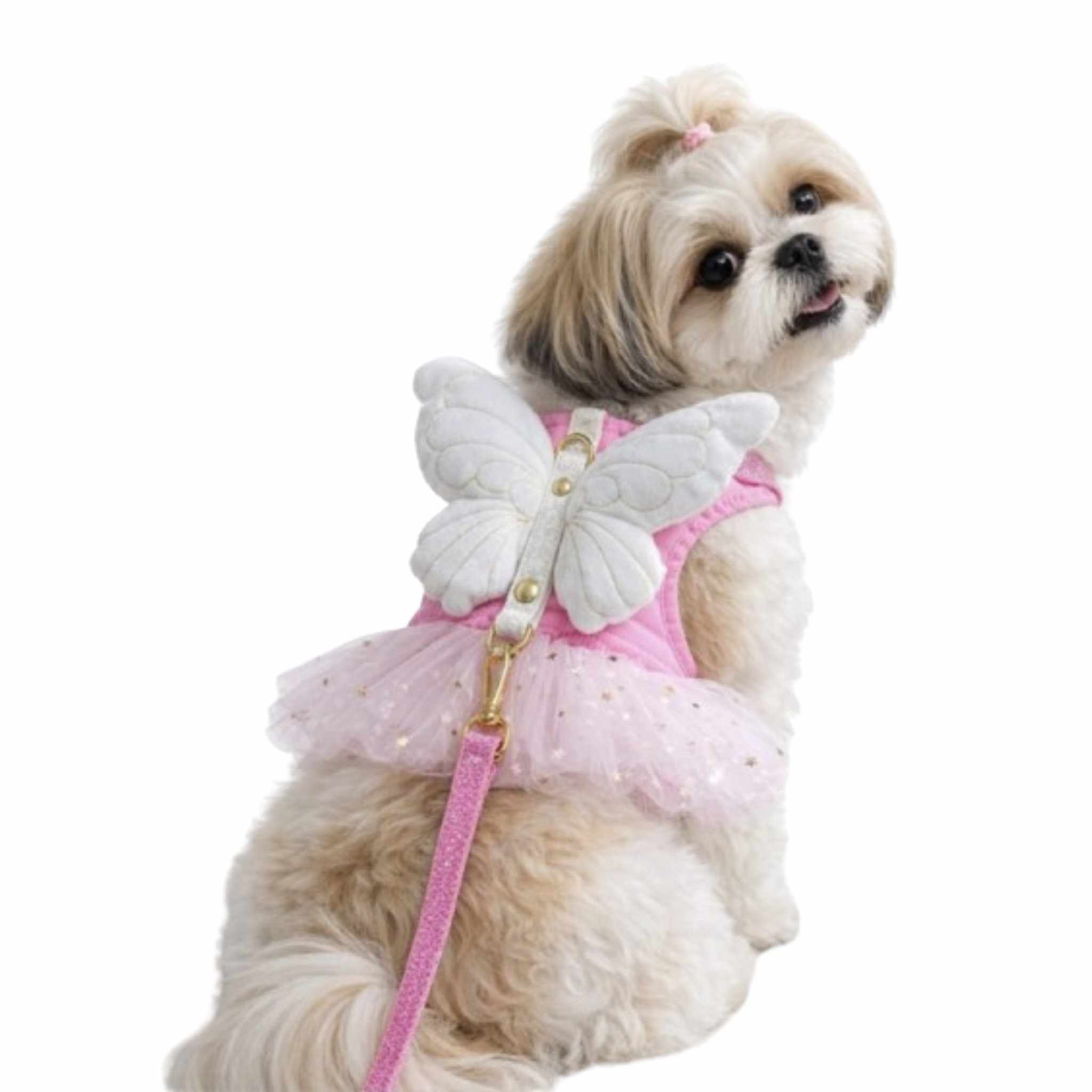 627478668_978297358178271_7965915388270825646_n