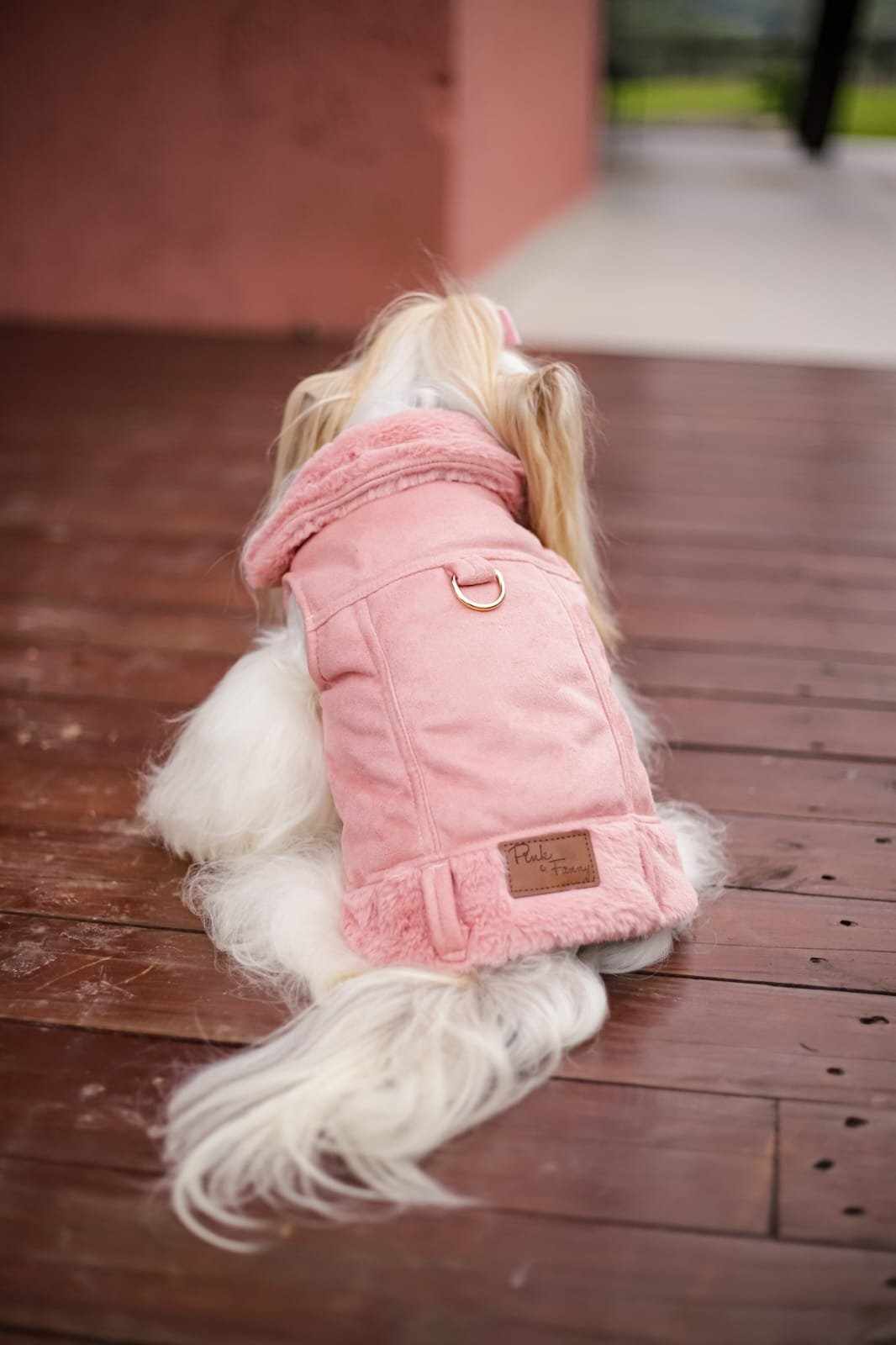 648195761_1701285164580968_8919248774603047476_n